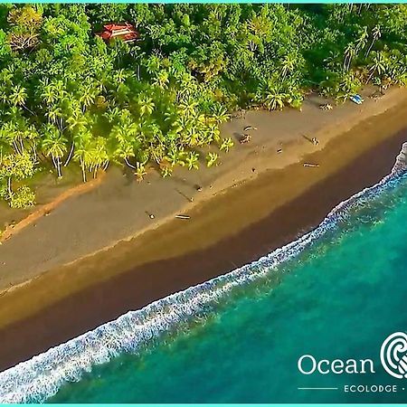Ocean Forest Ecolodge San Pedrillo Dış mekan fotoğraf