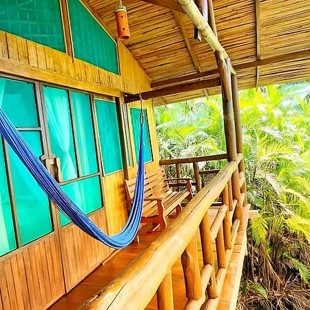 Ocean Forest Ecolodge San Pedrillo Dış mekan fotoğraf