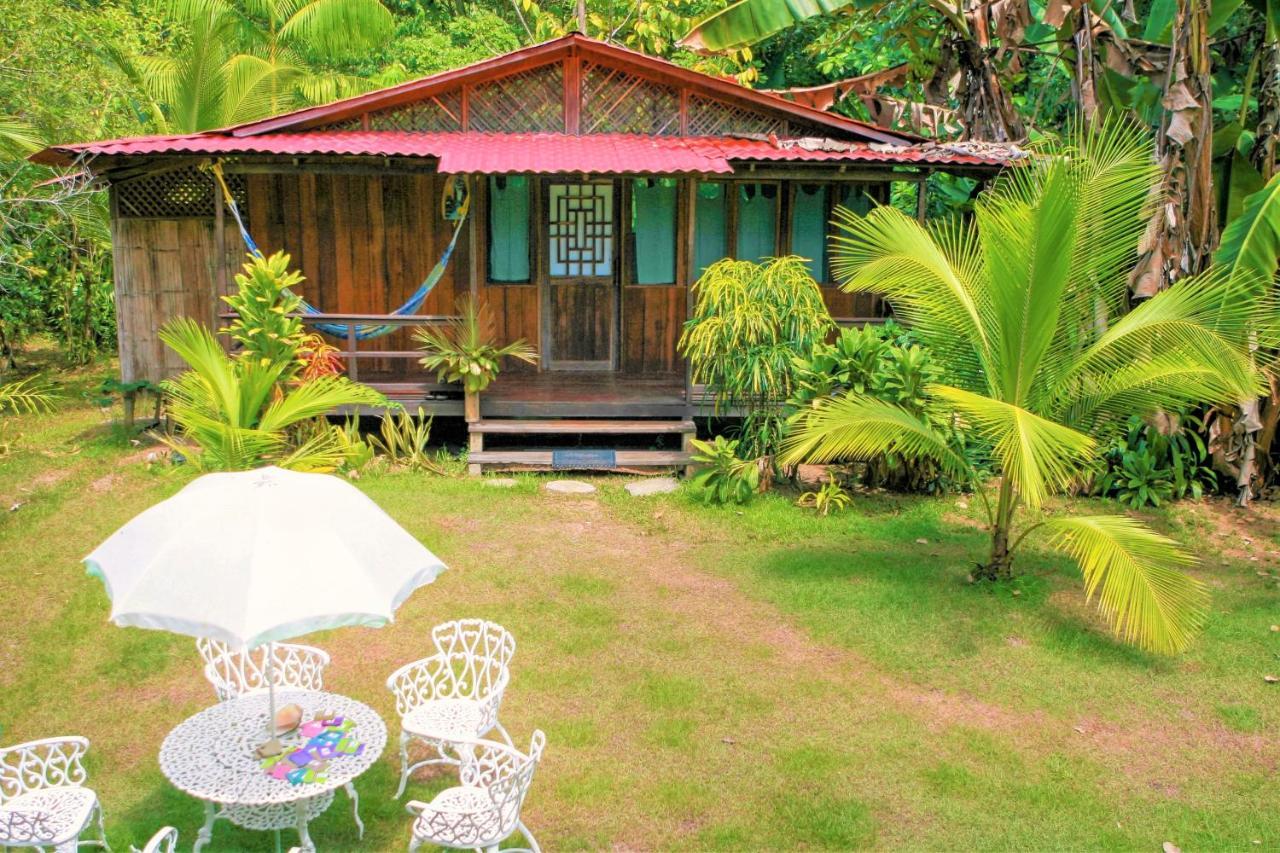 Ocean Forest Ecolodge San Pedrillo Dış mekan fotoğraf