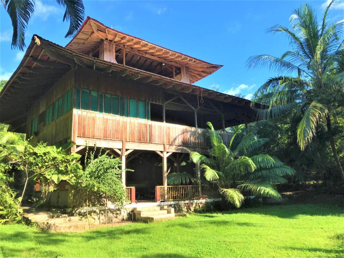 Ocean Forest Ecolodge San Pedrillo Dış mekan fotoğraf