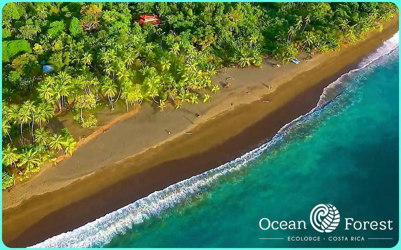 Ocean Forest Ecolodge San Pedrillo Dış mekan fotoğraf