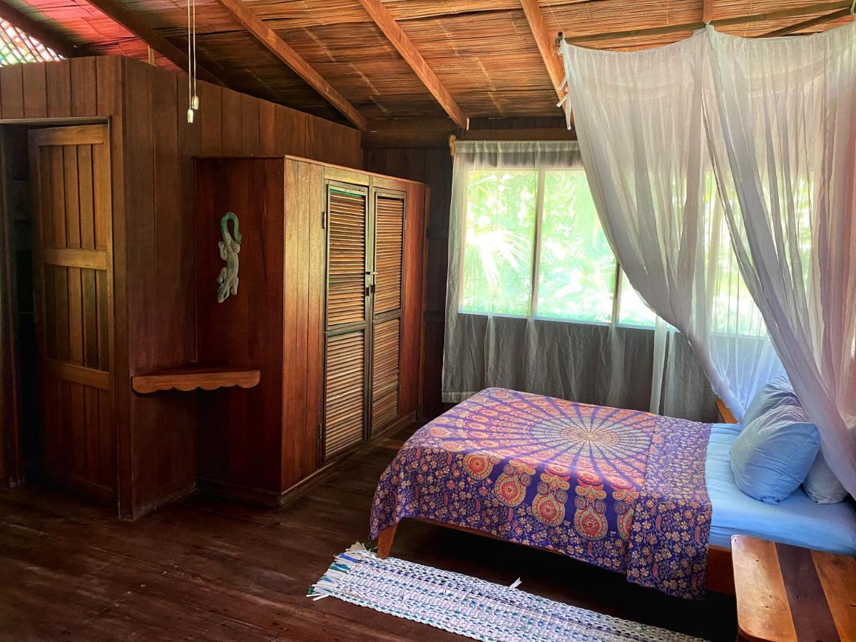 Ocean Forest Ecolodge San Pedrillo Dış mekan fotoğraf