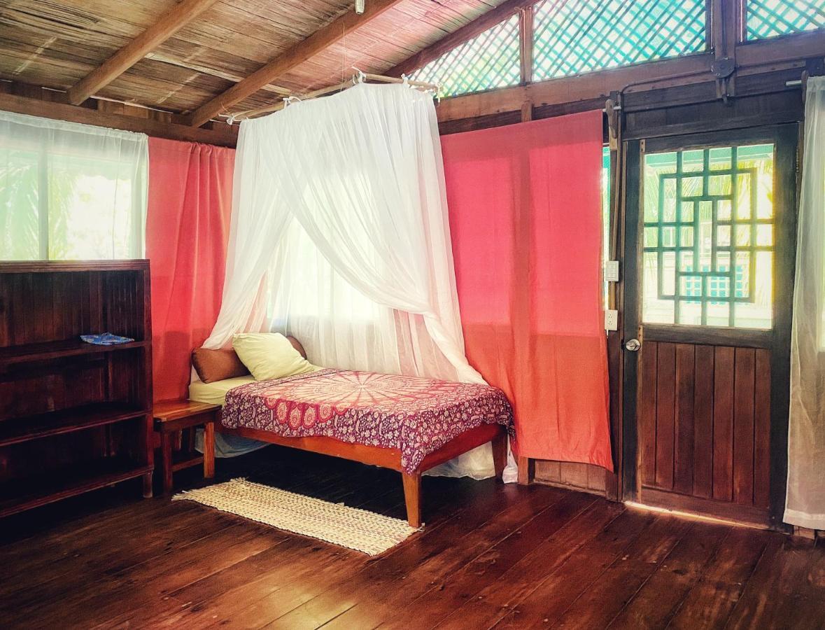 Ocean Forest Ecolodge San Pedrillo Dış mekan fotoğraf