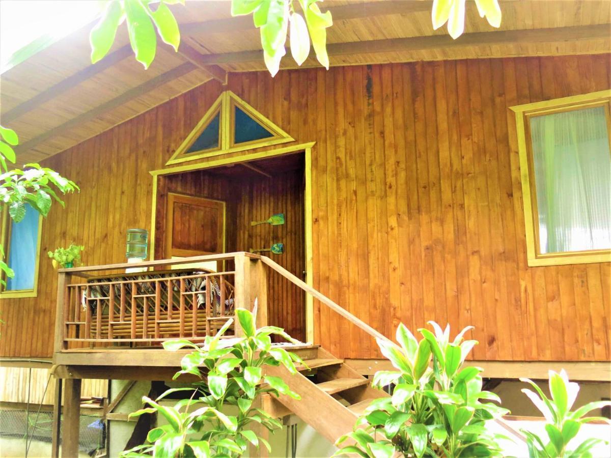 Ocean Forest Ecolodge San Pedrillo Dış mekan fotoğraf