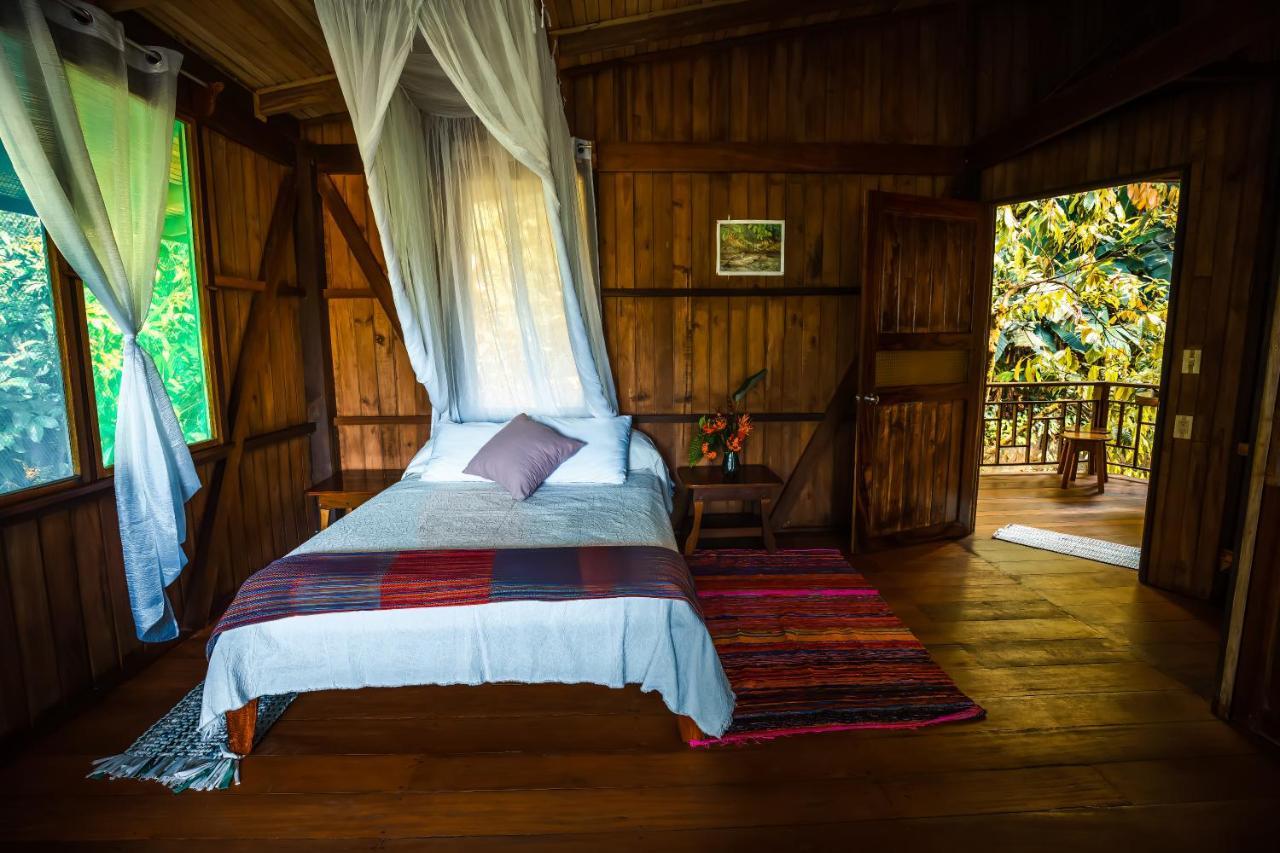 Ocean Forest Ecolodge San Pedrillo Dış mekan fotoğraf
