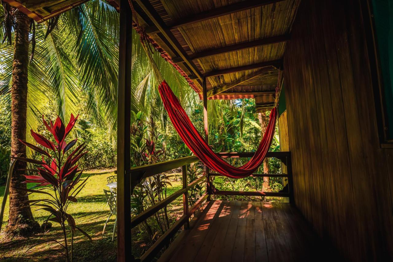 Ocean Forest Ecolodge San Pedrillo Dış mekan fotoğraf