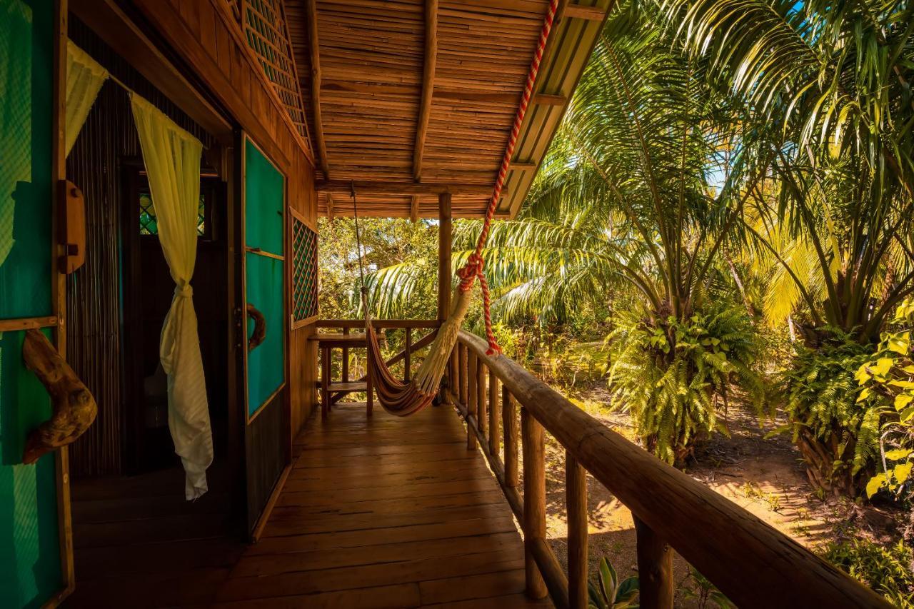 Ocean Forest Ecolodge San Pedrillo Dış mekan fotoğraf