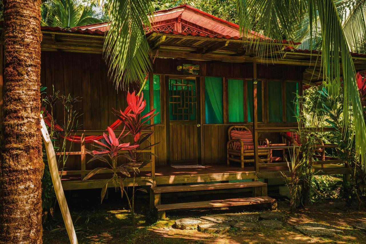 Ocean Forest Ecolodge San Pedrillo Dış mekan fotoğraf