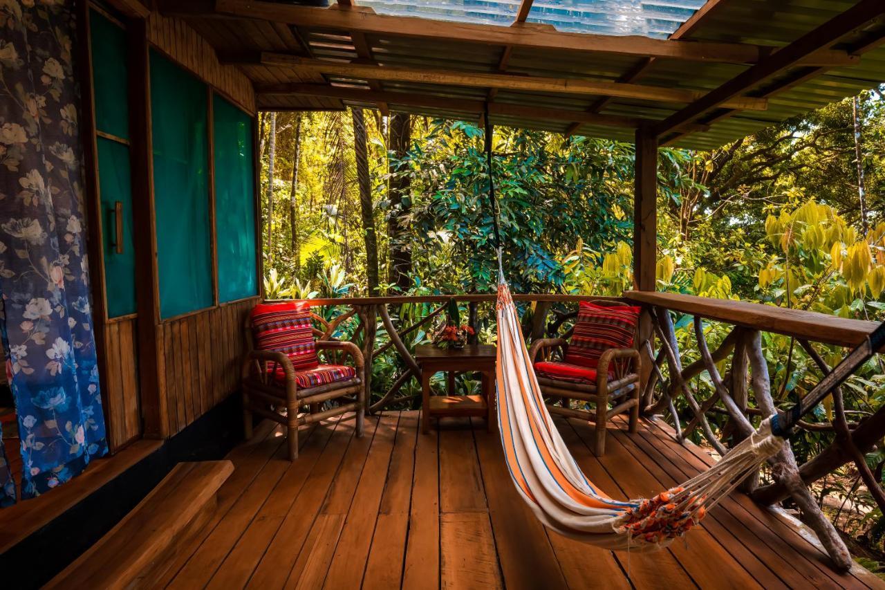 Ocean Forest Ecolodge San Pedrillo Dış mekan fotoğraf