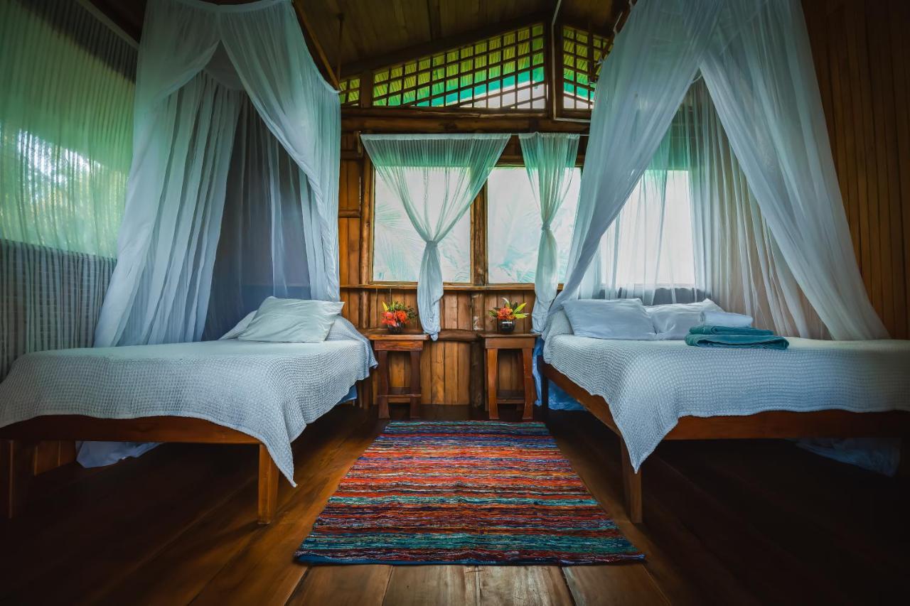 Ocean Forest Ecolodge San Pedrillo Dış mekan fotoğraf