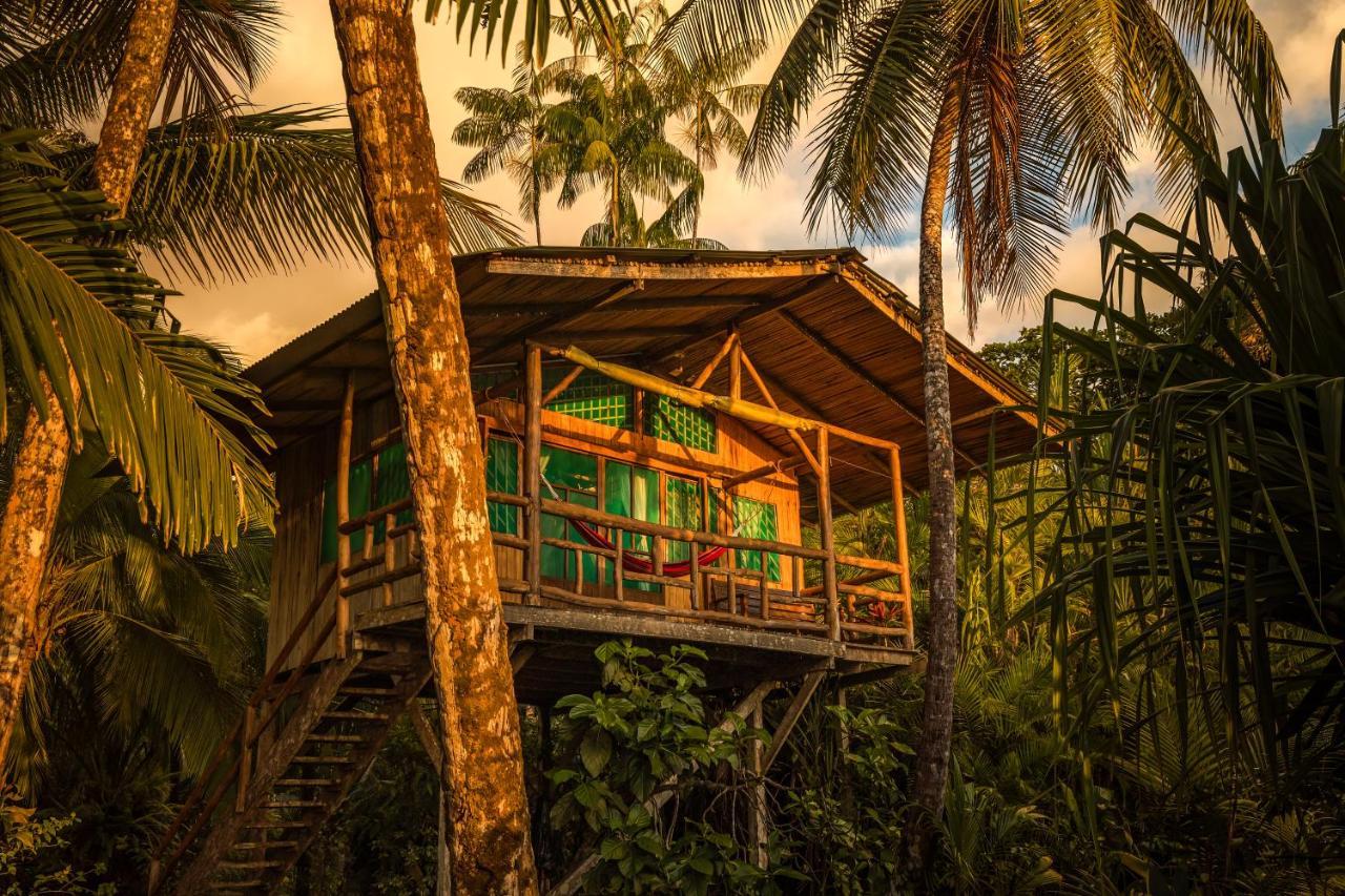 Ocean Forest Ecolodge San Pedrillo Dış mekan fotoğraf