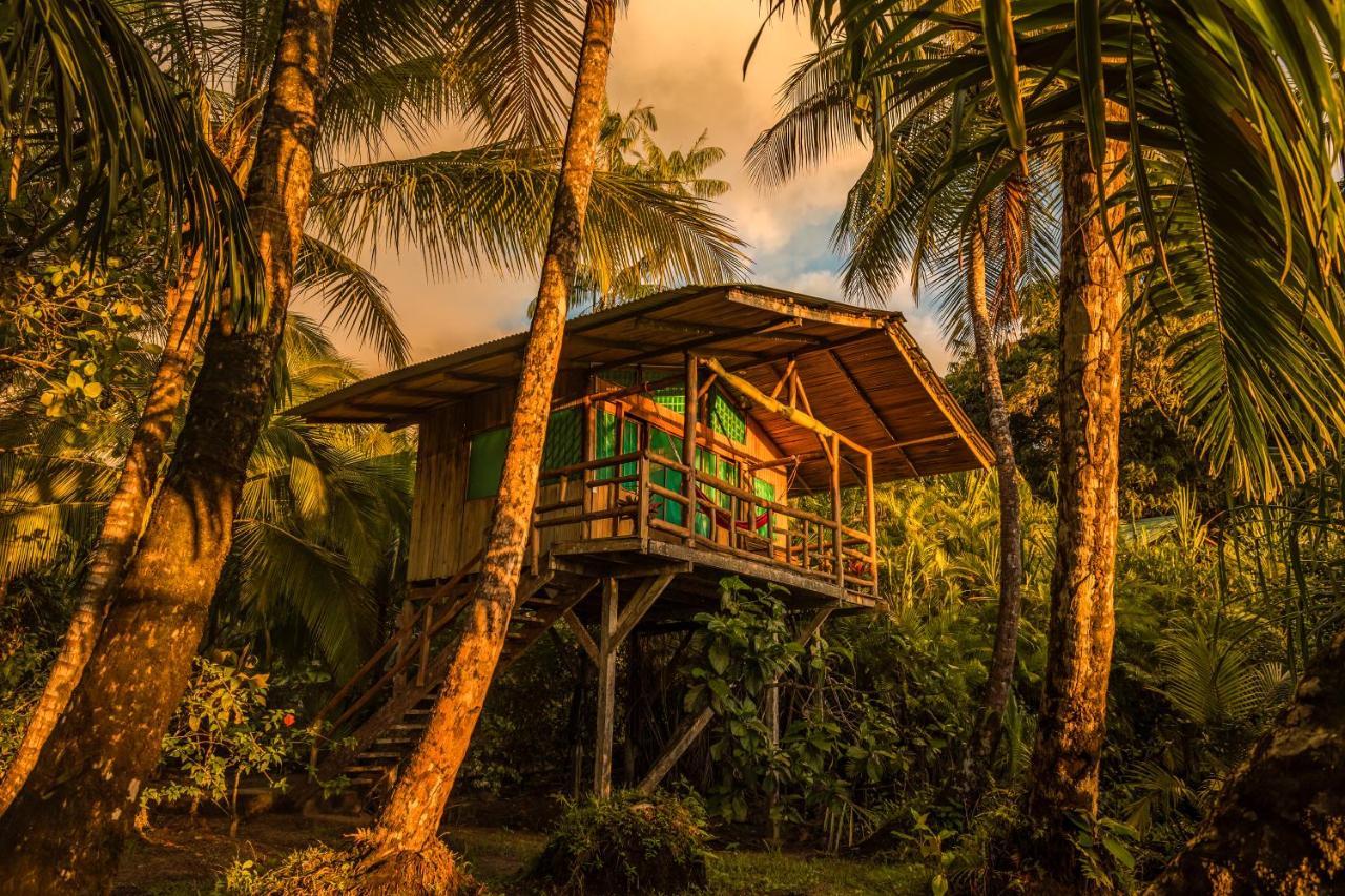Ocean Forest Ecolodge San Pedrillo Dış mekan fotoğraf