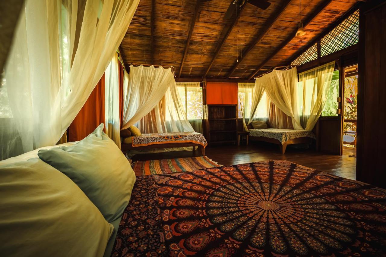 Ocean Forest Ecolodge San Pedrillo Dış mekan fotoğraf