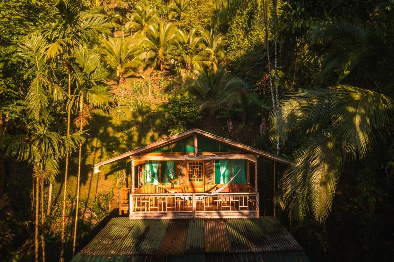Ocean Forest Ecolodge San Pedrillo Dış mekan fotoğraf