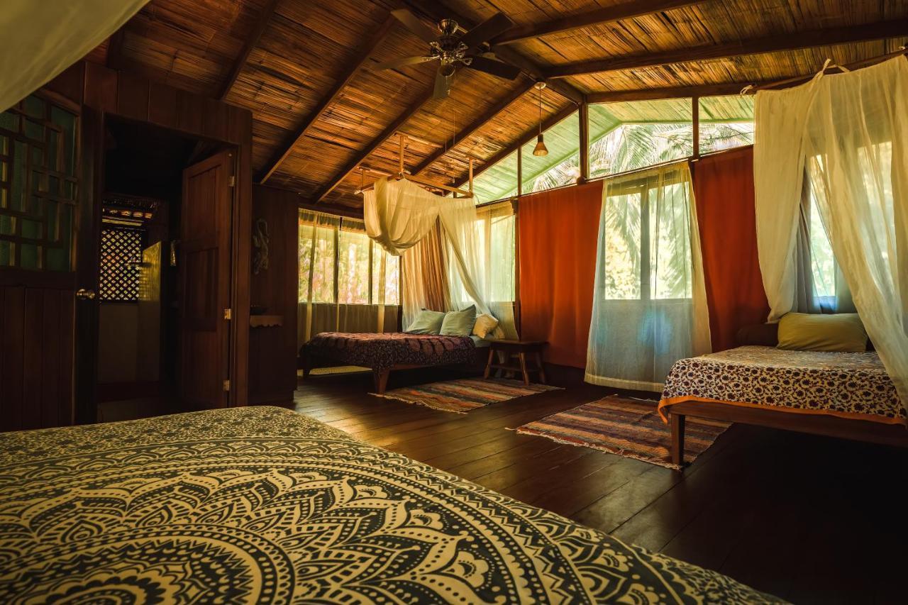 Ocean Forest Ecolodge San Pedrillo Dış mekan fotoğraf