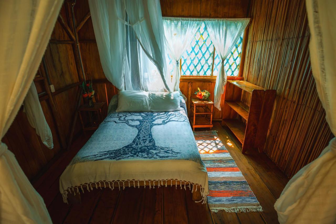 Ocean Forest Ecolodge San Pedrillo Dış mekan fotoğraf