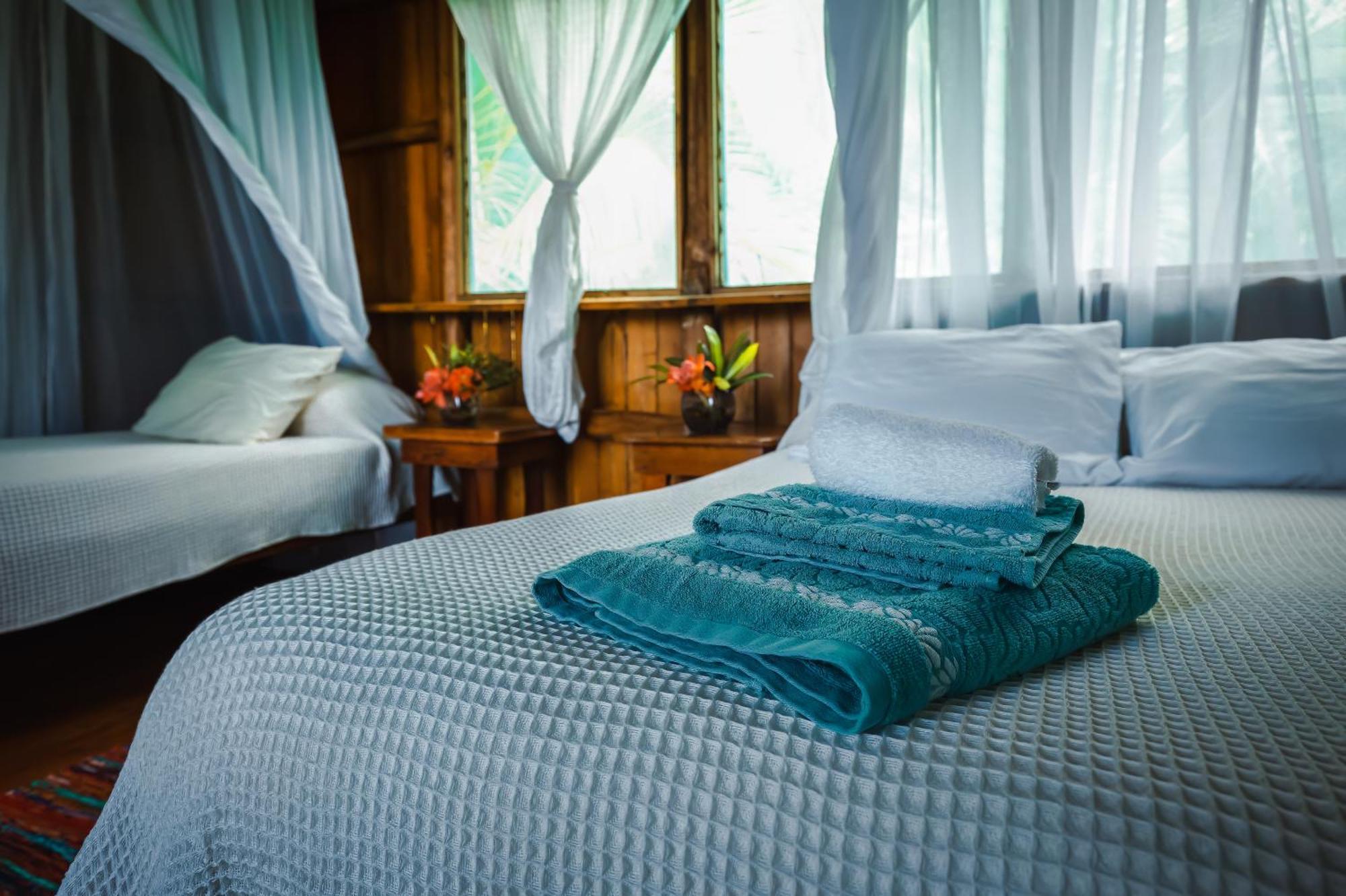 Ocean Forest Ecolodge San Pedrillo Dış mekan fotoğraf
