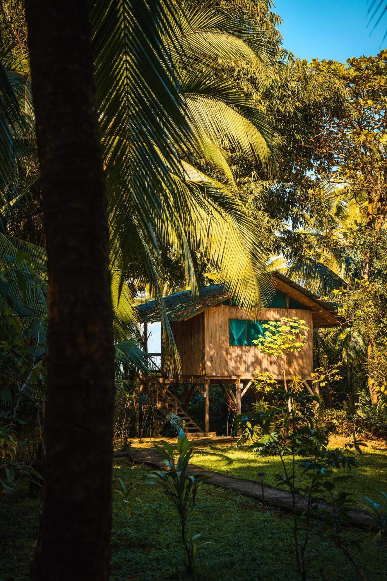 Ocean Forest Ecolodge San Pedrillo Dış mekan fotoğraf