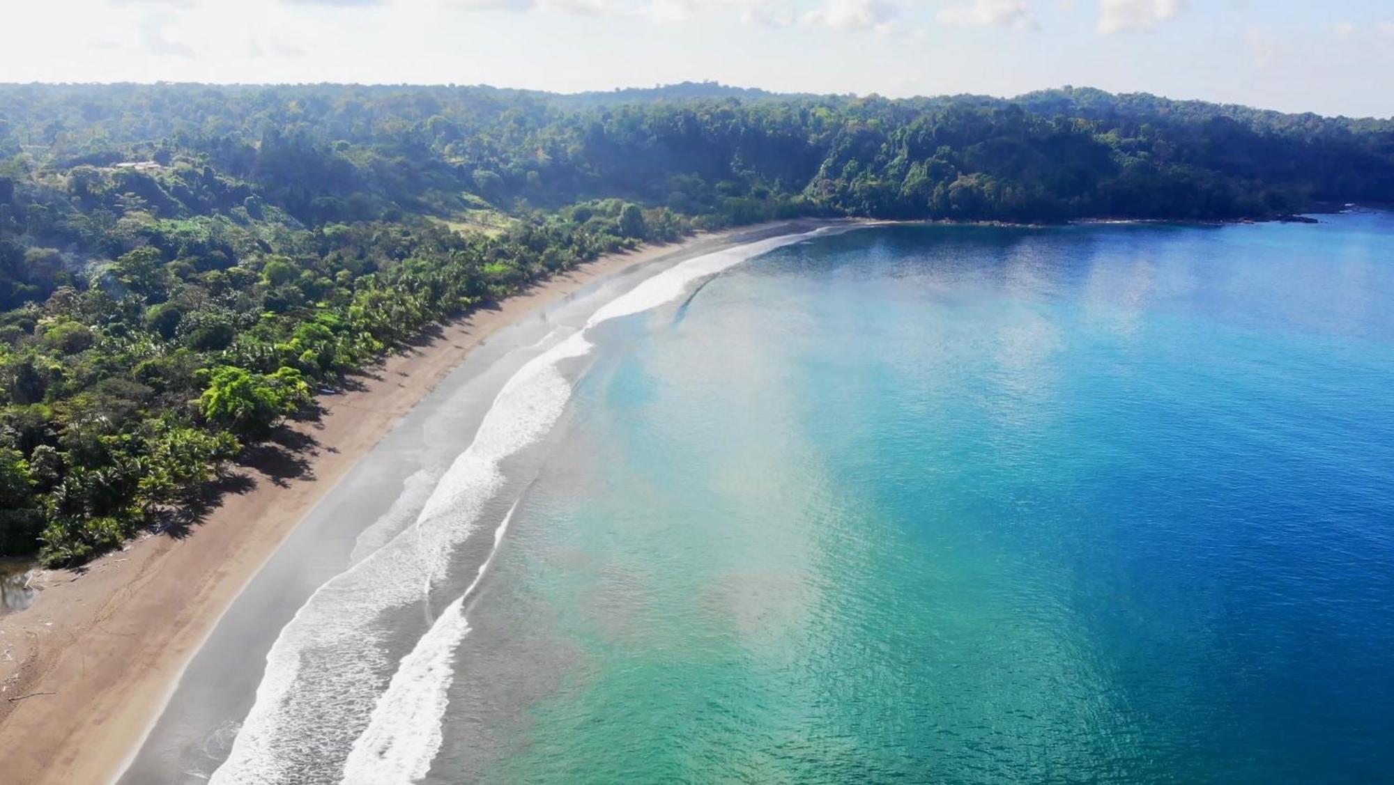 Ocean Forest Ecolodge San Pedrillo Dış mekan fotoğraf