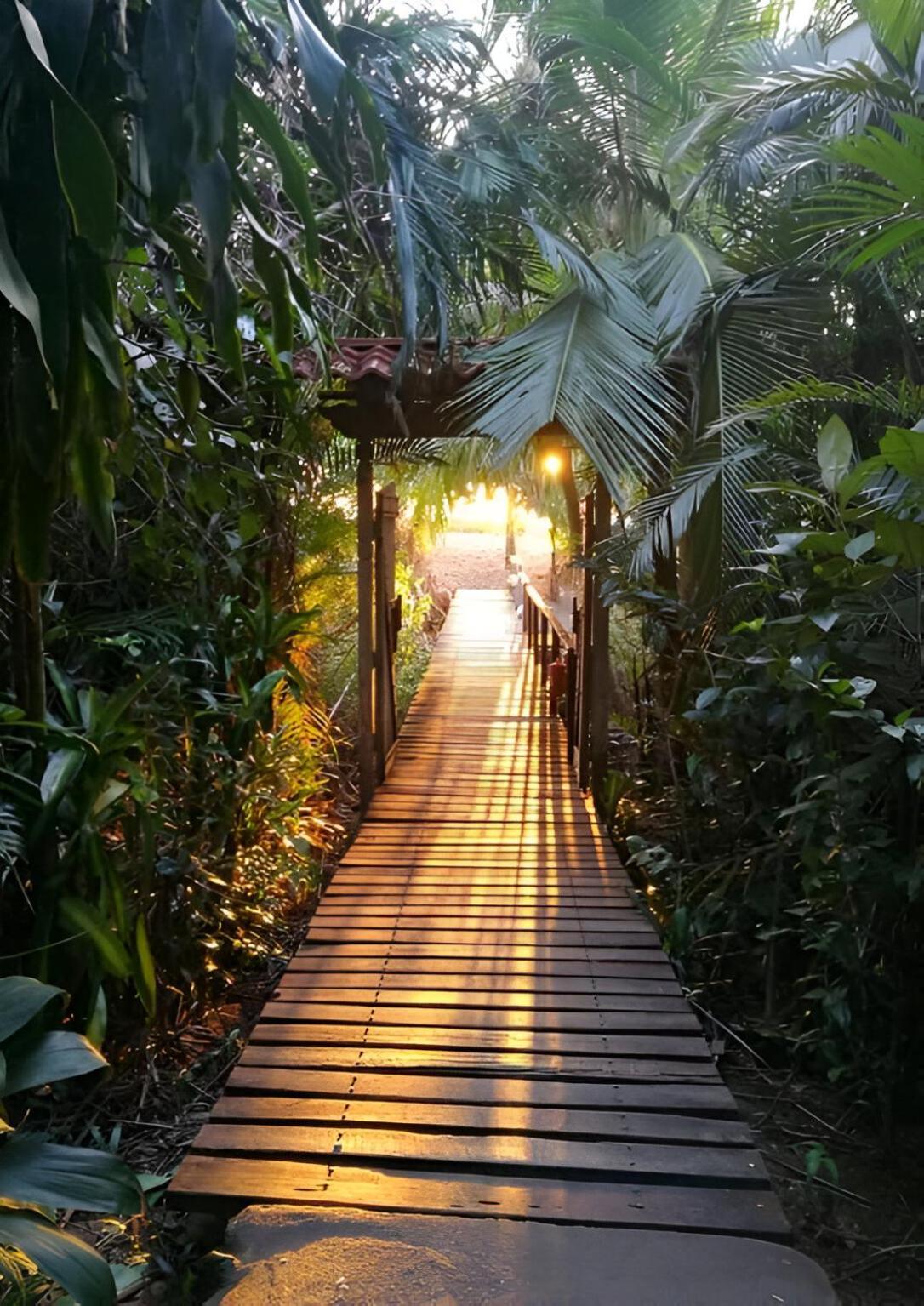 Ocean Forest Ecolodge San Pedrillo Dış mekan fotoğraf
