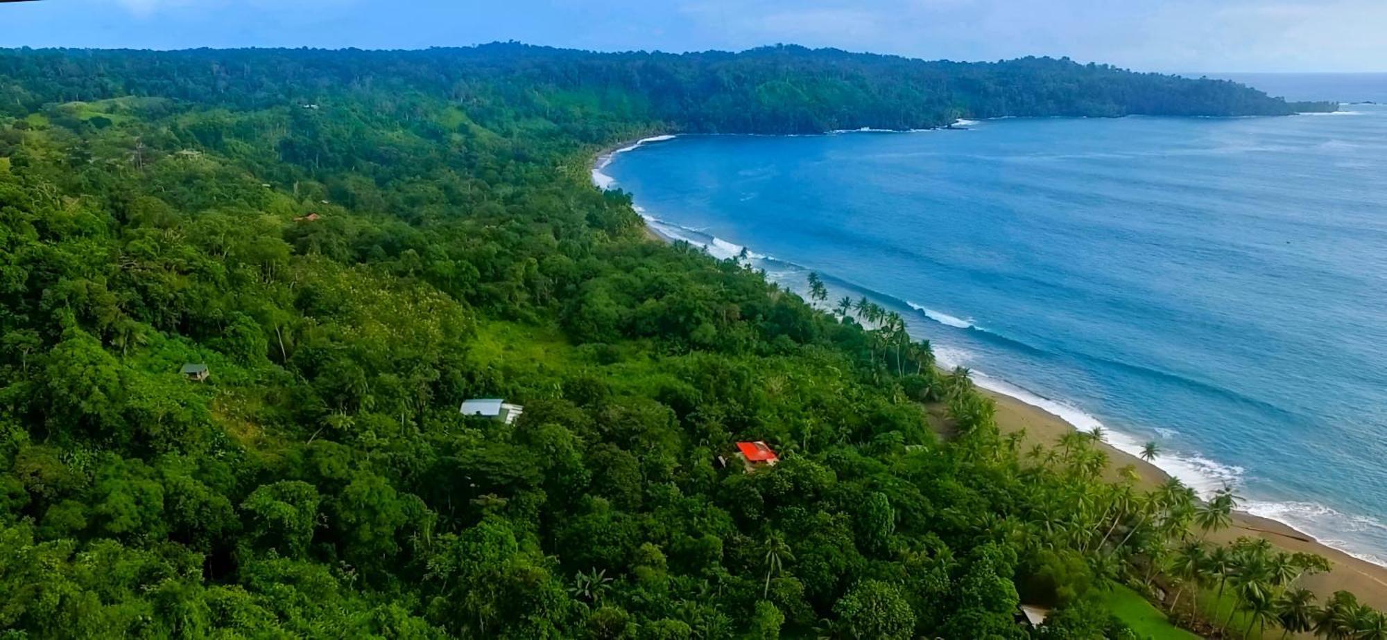 Ocean Forest Ecolodge San Pedrillo Dış mekan fotoğraf