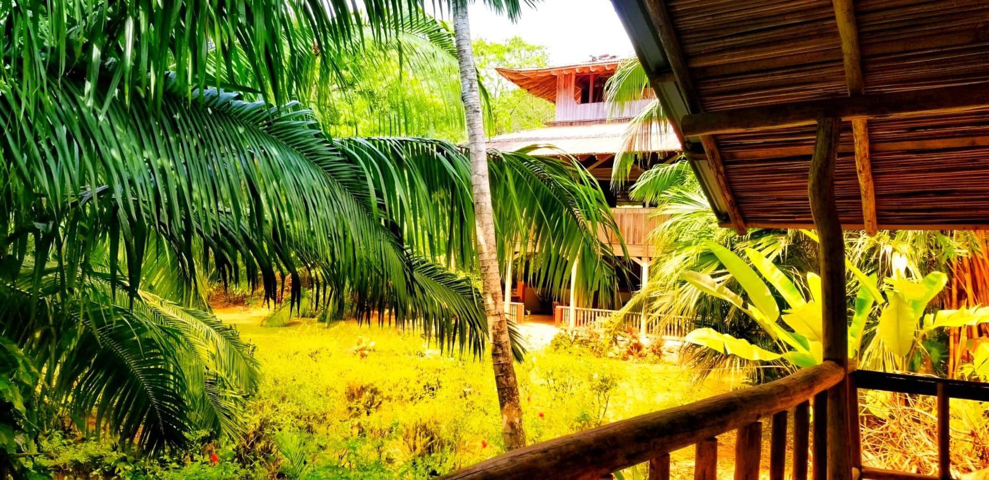 Ocean Forest Ecolodge San Pedrillo Dış mekan fotoğraf