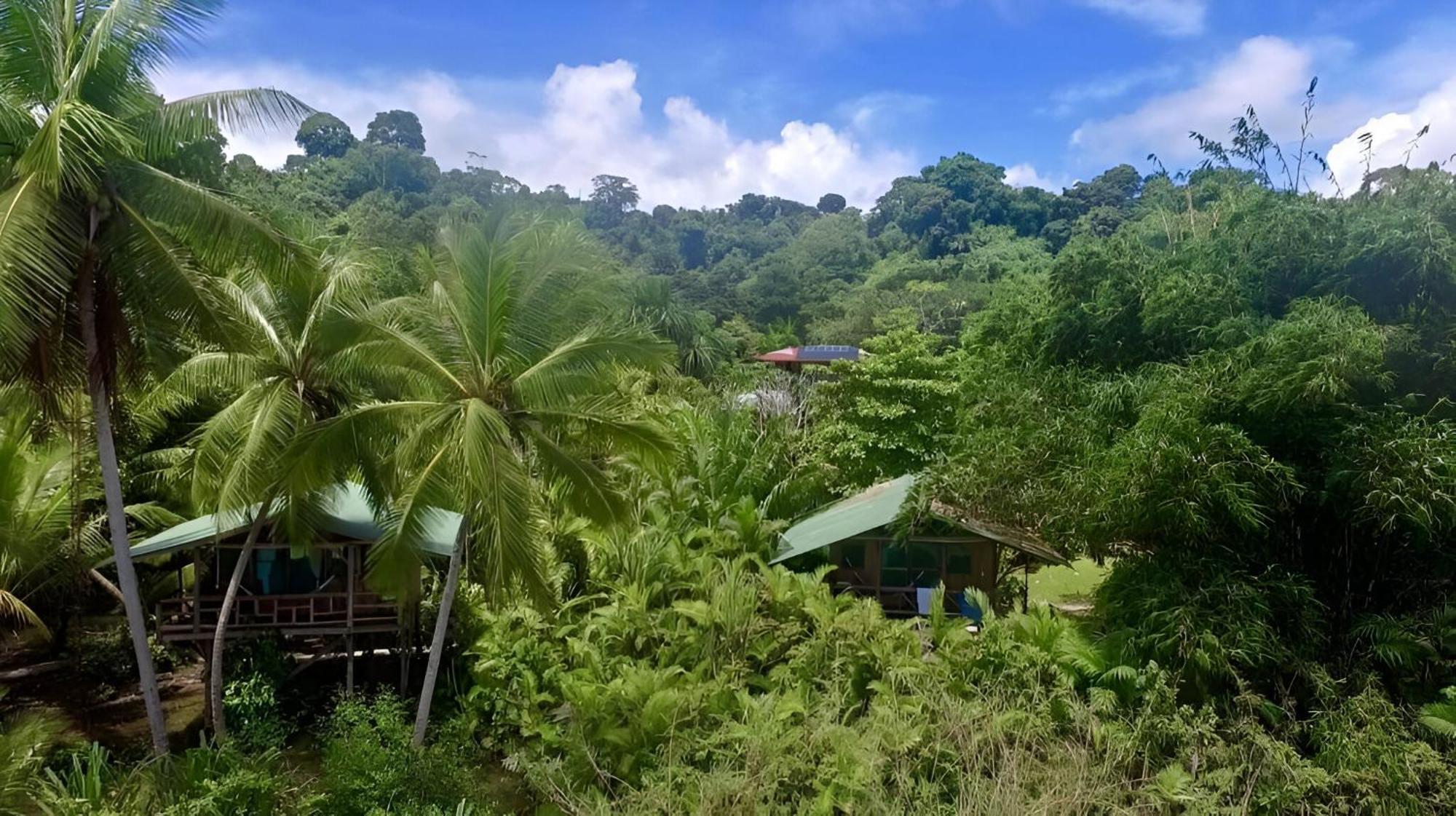 Ocean Forest Ecolodge San Pedrillo Dış mekan fotoğraf