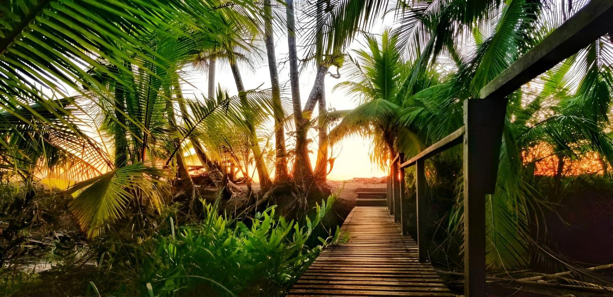 Ocean Forest Ecolodge San Pedrillo Dış mekan fotoğraf