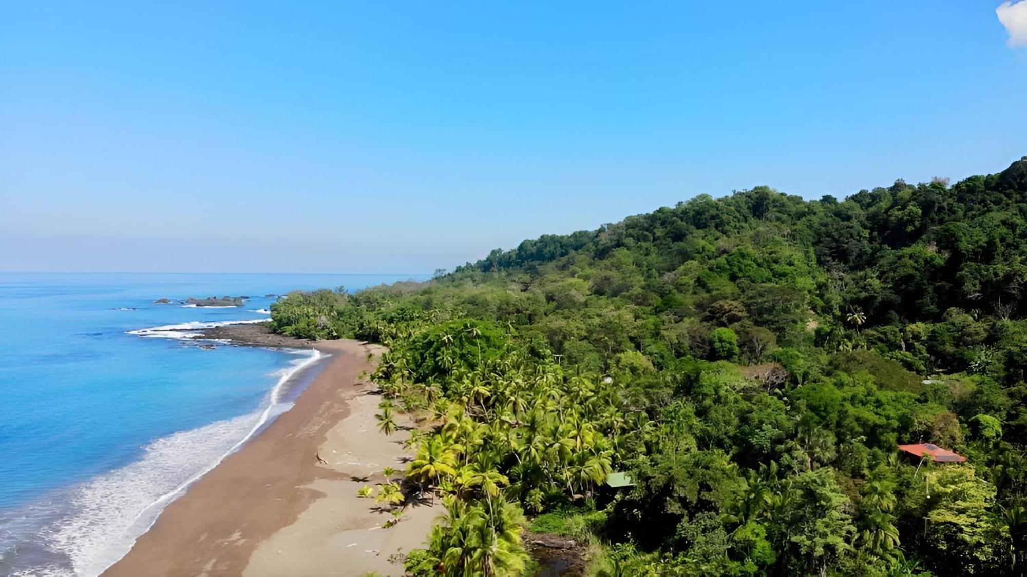 Ocean Forest Ecolodge San Pedrillo Dış mekan fotoğraf