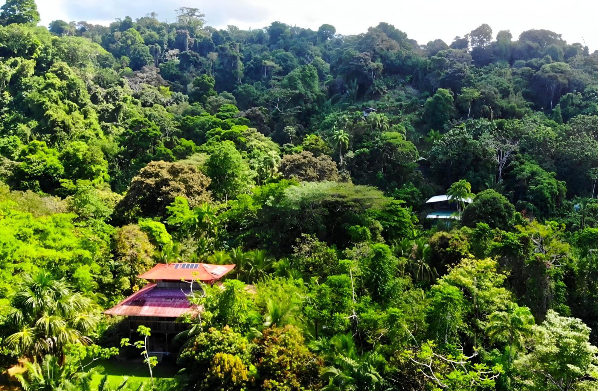 Ocean Forest Ecolodge San Pedrillo Dış mekan fotoğraf